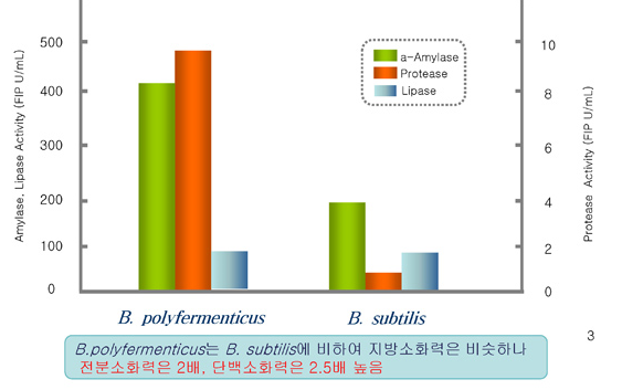 소화효소 활성평가